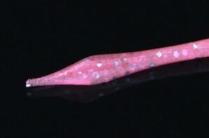 Jackall Deka Kibina Go 2.5'' 6.35cm Silikon Yem GLOW CHART