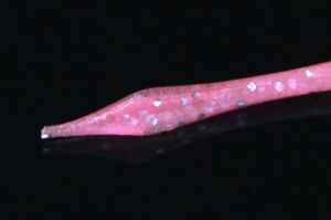 Jackall Deka Kibina Go 2.5'' 6.35cm Silikon Yem