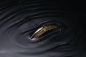 Jackall Pikupiku 6.5cm 3gr Maket Balık