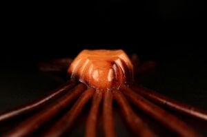 Jackall Drift Crab 4.5cm Silikon Yem