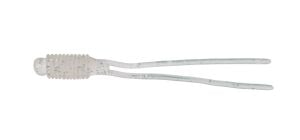 Thirty34Four Plankton 1.8Inch 4.5cm Silikon Yem