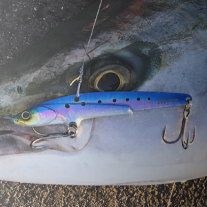 Jackall Big Backer Buri Custom 107 10.7cm 43gr Jig Yemi ALUMINUM SEGURO IWASHI