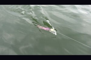 Jackall Riser Bait 004 4cm 5.6gr Maket Balık